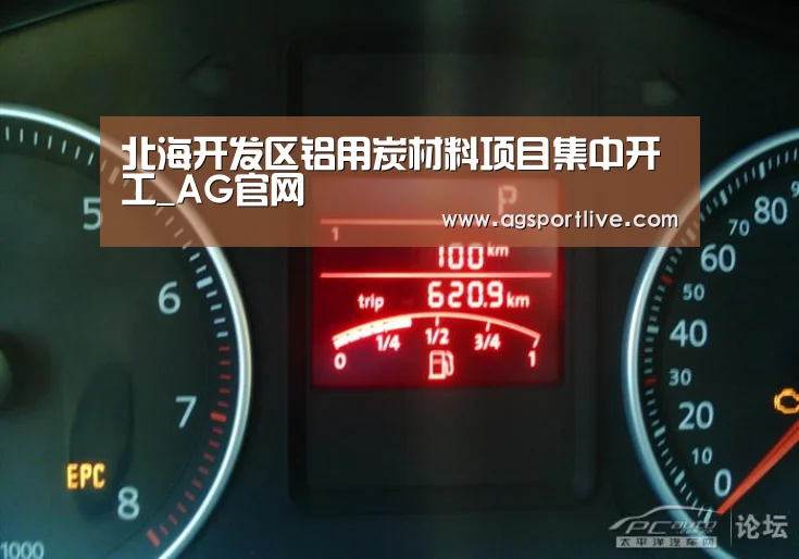 北海开发区铝用炭材料项目集中开工_AG官网(图2) AG入口