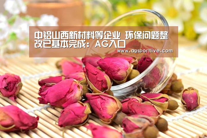 中铝山西新材料等企业 环保问题整改已基本完成:AG入口(图2) AG入口