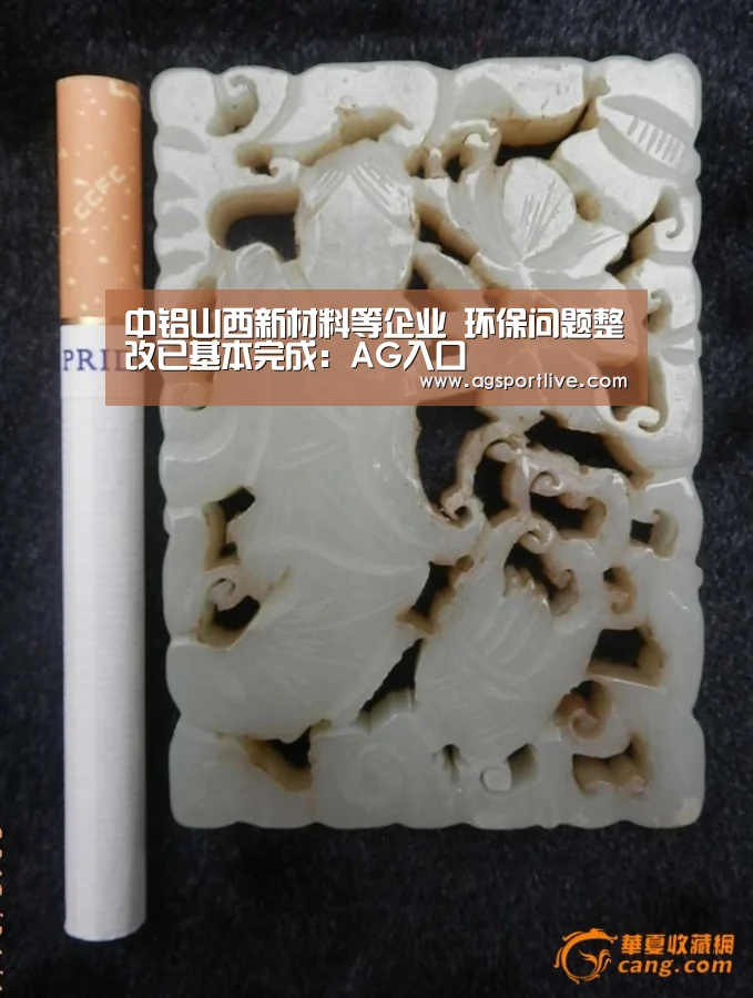 中铝山西新材料等企业 环保问题整改已基本完成:AG入口(图3) AG真人