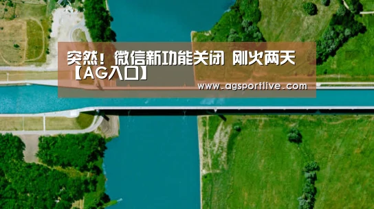 突然!微信新功能关闭 刚火两天【AG入口】(图1) AG官网