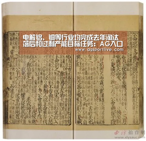 电解铝、铜等行业均完成去年淘汰落后和过剩产能目标任务:AG入口(图2) AG官网